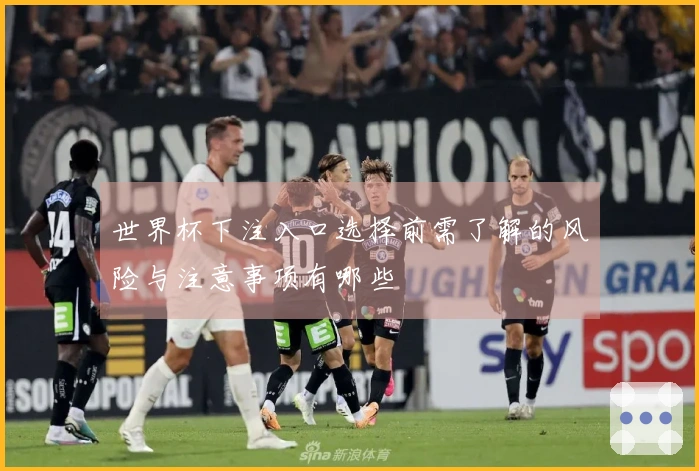 世界杯下注入口选择前需了解的风险与注意事项有哪些