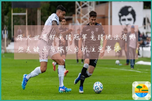烽火世界杯竞猜冠军竞猜玩法有哪些关键点与球队分析注意事项