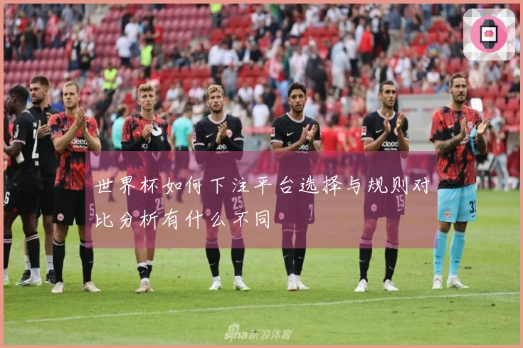 世界杯如何下注平台选择与规则对比分析有什么不同