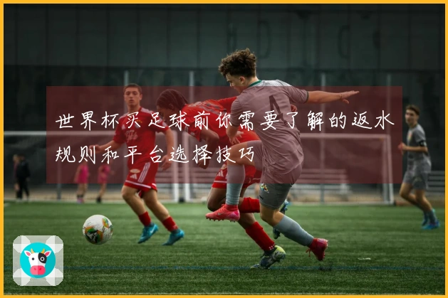 世界杯买足球前你需要了解的返水规则和平台选择技巧