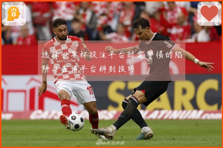 选择世界杯投注平台时需警惕的陷阱与靠谱平台辨别技巧