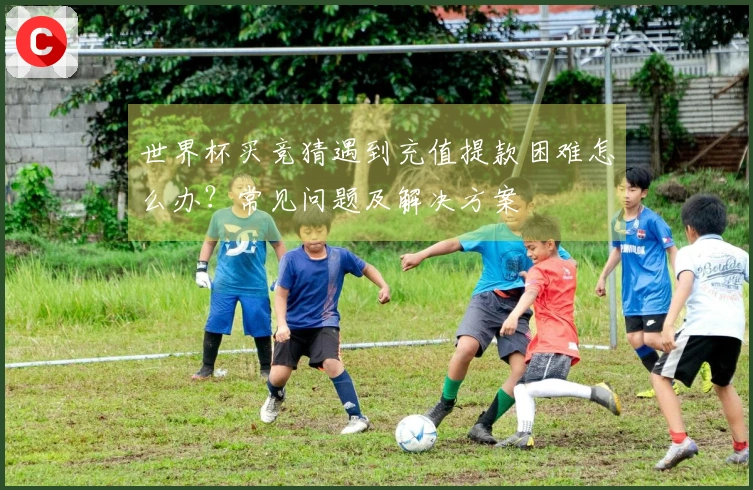 世界杯买竞猜遇到充值提款困难怎么办？常见问题及解决方案