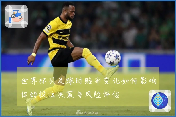 世界杯买足球时赔率变化如何影响你的投注决策与风险评估