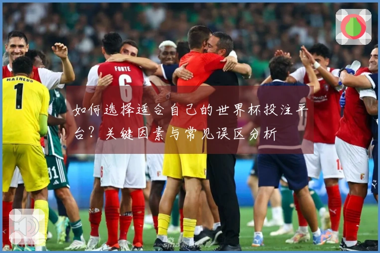 如何选择适合自己的世界杯投注平台？关键因素与常见误区分析